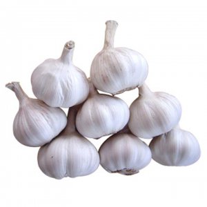 大蒜是水果还是蔬菜 大蒜属于水果还是蔬菜？