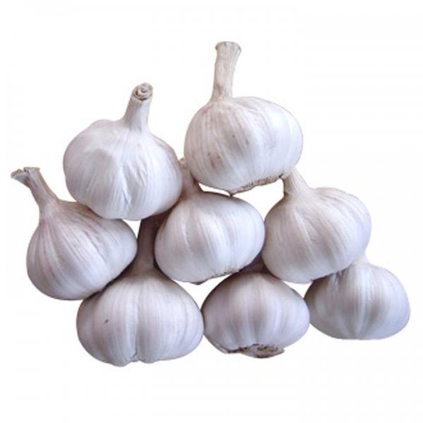 大蒜是水果还是蔬菜