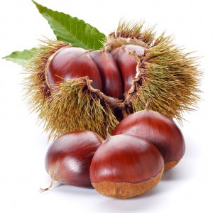 栗子是水果还是蔬菜 栗子是属于水果类还是蔬菜类？