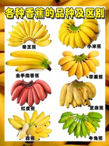 香蕉是水果还是蔬菜 香蕉水果还是蔬菜？