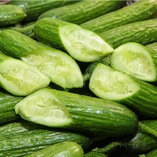 小黄瓜是水果还是蔬菜