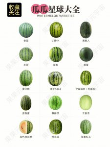 西瓜类是水果还是蔬菜 西瓜究竟是水果还是蔬菜？