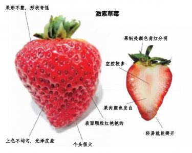 草莓是水果还是蔬菜 草莓属于水果还是蔬菜？