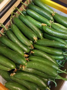 乳瓜是水果还是蔬菜 乳瓜属于水果还是蔬菜？