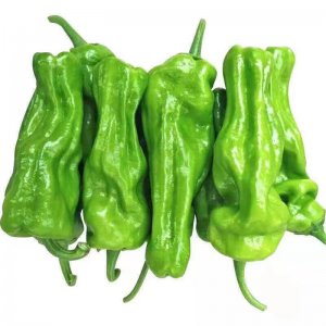 辣椒是水果还是蔬菜 辣椒到底是水果还是蔬菜？