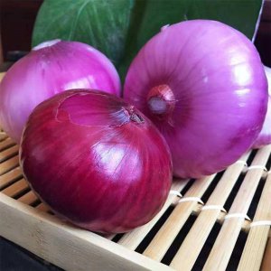 洋葱是水果还是蔬菜 洋葱是水果吗？