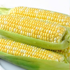 玉米是水果还是蔬菜 玉米属于水果还是蔬菜？