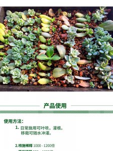 多肉花肥制作与使用方法 多肉花肥的制作和使用指南