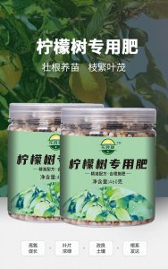 柠檬树底肥放什么肥好 底肥施用方法