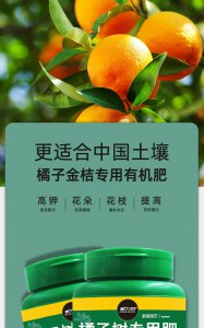 橘子底肥放什么肥好 底肥施用方法