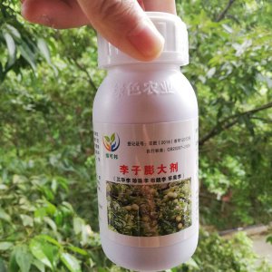 李子树底肥放什么肥好 底肥施用方法