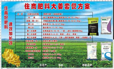 生姜底肥放什么肥好 底肥施用方法