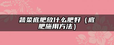 蔬菜底肥放什么肥好 底肥施用方法