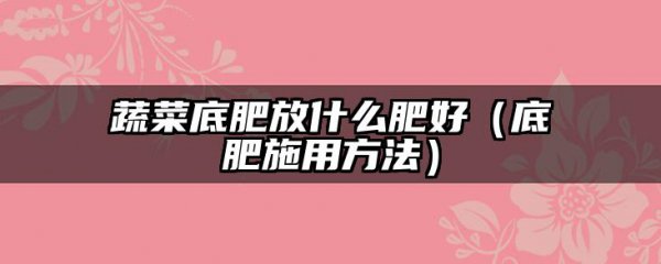 蔬菜底肥放什么肥好