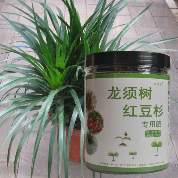 红豆杉底肥放什么肥好