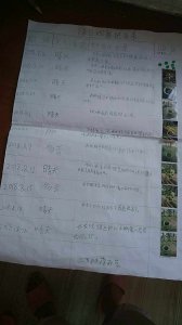 豆瓣绿换土时间和方法 豆瓣绿换土时间和技巧