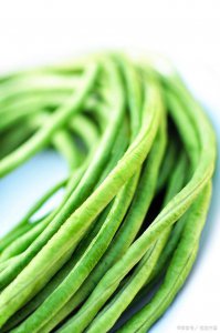 菠菜喜阴还是喜阳 菠菜是喜欢阴还是阳光？