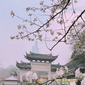鸡鸣寺的?；攀奔?鸡鸣寺?；攀奔洹⒓γ律陀Ｊ奔?/></i><h2>鸡鸣寺的?；攀奔?鸡鸣寺?；攀奔洹⒓γ律陀Ｊ奔?/h2><p>全面为您解析鸡鸣寺的?；攀奔涞幕ɑ苤种驳南喙鼐椋酉吕绰讨裁酝”辔呀樯?。鸡鸣寺的樱花开放时间鸡鸣寺的?；ㄒ话闶窃?月下旬到4月</p></a></li>
            <li><a href=