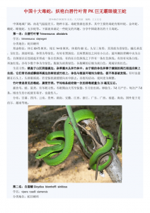 翠青蛇和竹叶青的区别 翠青蛇与竹叶青的比较
