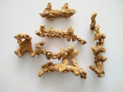 黄精喜阴还是喜阳 黄精喜欢阴凉环境还是喜欢阳光？
