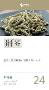 荆芥喜阴还是喜阳 荆芥更喜欢阴还是阳光？