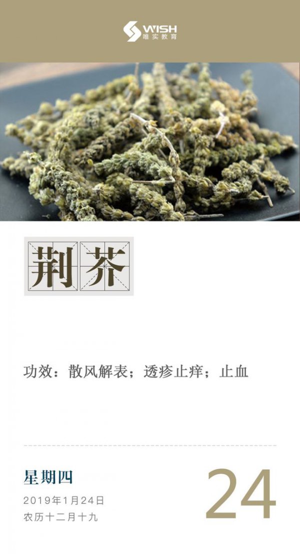 荆芥喜阴还是喜阳