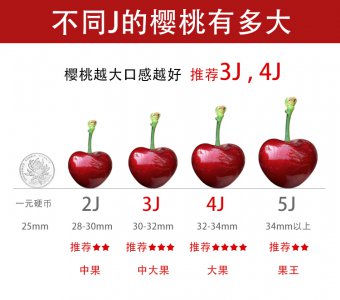 车厘子喜阴还是喜阳 喜阳的车厘子
阳光下的车厘子