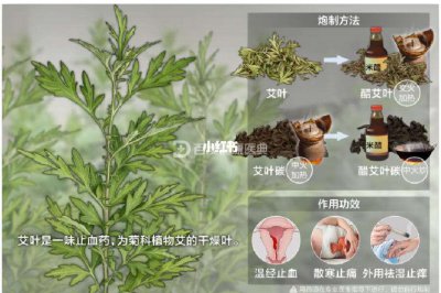 艾草喜阴还是喜阳 艾草是喜欢阴凉还是阳光？