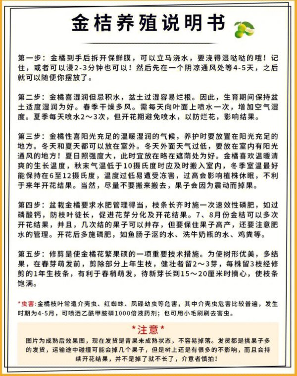盆栽红掌怎么养殖方法和注意事项