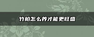 竹柏怎么养才能更旺盛 如何才能让竹柏生长更旺盛？