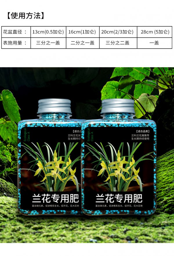 兰草花浇什么肥最好