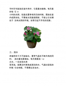 水莲花怎么养长的好 盆栽养殖方法
