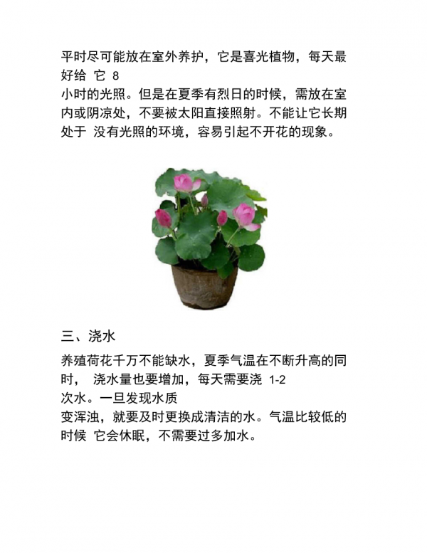 水莲花怎么养长的好 盆栽养殖方法