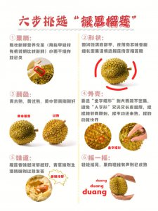 榴莲生长环境要求及条件 榴莲的生长需求和条件