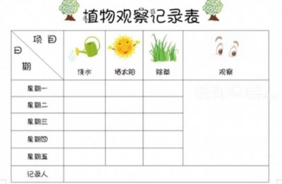 荷花生长环境条件及特点 荷花的生长环境和特性