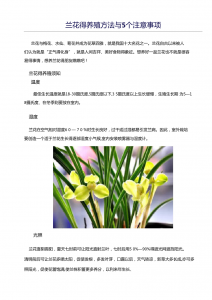 万代兰怎么养护方法 养护万代兰的方法