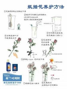 洋桔梗怎么养护方法 洋橙养护方法

护理洋?；ǖ募记?/></i><h2>洋桔梗怎么养护方法 洋橙养护方法

护理洋?；ǖ募记?/h2><p>为关注绿植迷网的网友们详解洋桔梗怎么养护方法的绿植花卉的相关介绍，继续往下看吧！洋桔梗怎么养护方法家庭养洋桔梗时，可以将草炭土、园土、稻</p></a></li>
            <li><a href=
