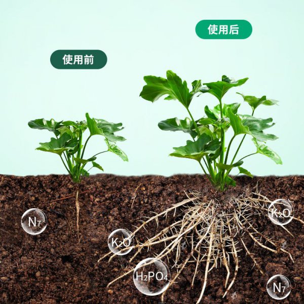 生根粉可以浇菜吗