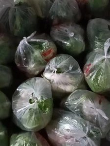 过期酸奶可以浇菜吗 过期的酸奶可用来浇灌植物吗？