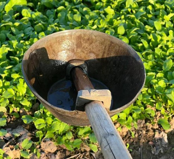 化粪池的水可以浇菜吗