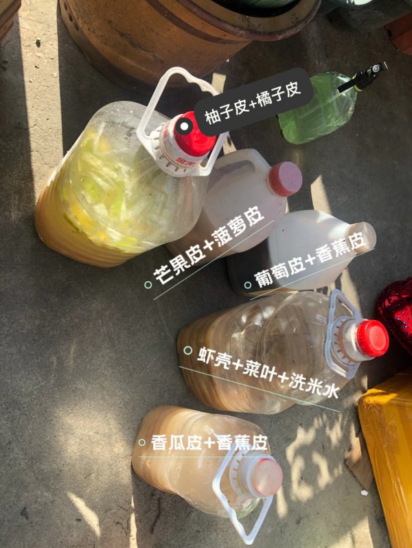 葡萄皮可以做花肥吗