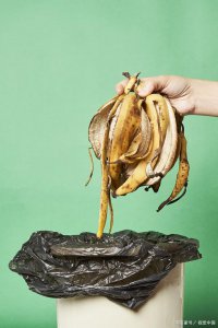 香蕉皮可以做花肥吗 香蕉皮可否作为植物肥料利用？