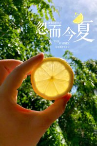 柠檬喜阳光吗 柠檬是否喜欢阳光？
柠檬是否享受阳光？