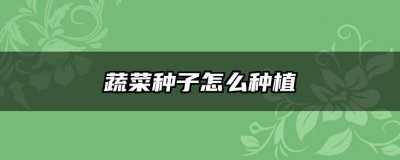 蔬菜种子怎么种植 栽种蔬菜种子的步骤
播种蔬菜种子的方法