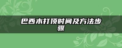 巴西木打顶时间及方法步骤 巴西木打顶的时间和方法步骤
