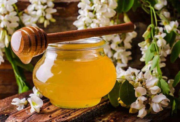 蜂蜜水适合浇什么花