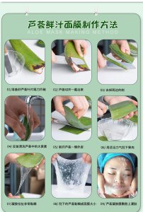 芦荟可以浇淘米水吗 芦荟适合用来浇水吗？