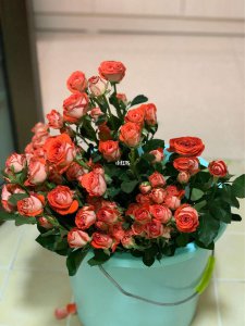 多头蔷薇怎么水养 多头蔷薇的水养技巧