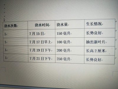吊兰花几天浇一次水 多久浇一次水吊兰花？