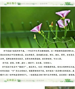 牵?；柑旖揭淮嗡?牵?；涓舳嗑媒剿?？